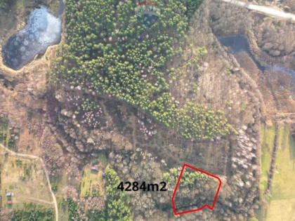 Działka wśród drzew z udziałem w akwenie