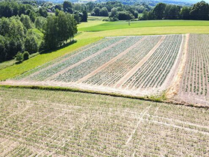Działka budowlana Łąkta Dolna gm. Trzciana