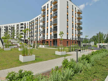 Mieszkanie Wrocław Stare Miasto ul. Dmowskiego