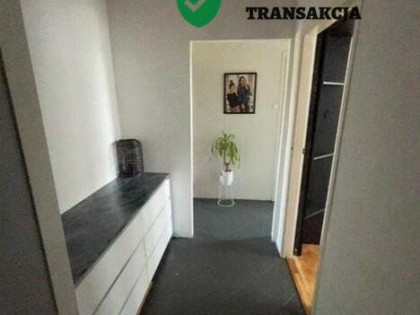 Komfortowe mieszkanie w spokojnej okolicy