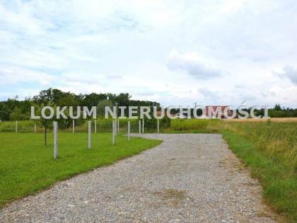 Działka Dąbrowa Tarnowska Czernia