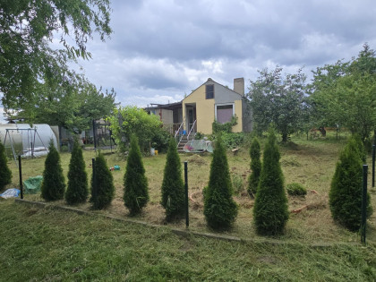 Działka ROD Zielony Zakątek Chodzież