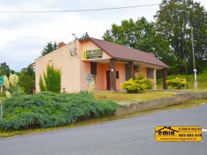 Lokal z możliwością przekształcenia na dom, działka 2800m2