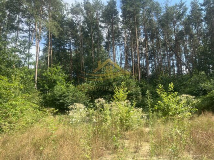 Działka budowlana Grodzisk Mazowiecki