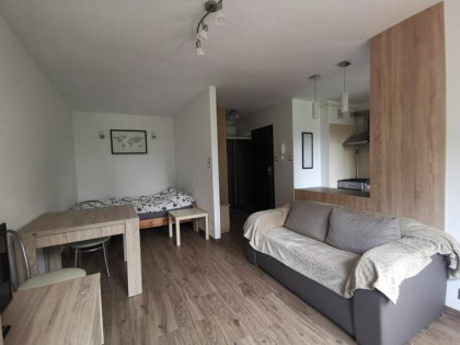 Kawalerka do wynajęcia blisko UMB