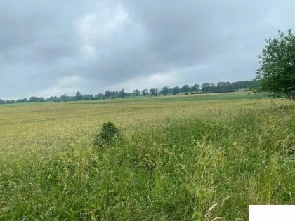 Działka budowlana 72-310 Sowno Zachodniopomorskie = 3081 m2