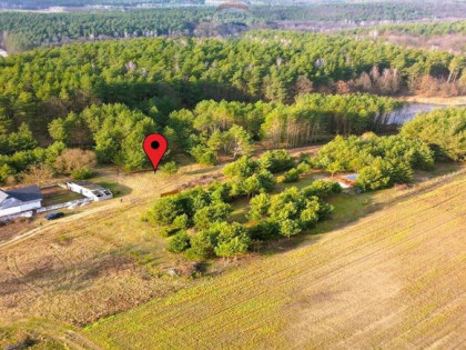 Działka z WZ przy lesie i stawie