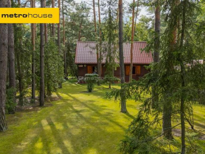 Dom drewniany 61m2 na zalesionej działce