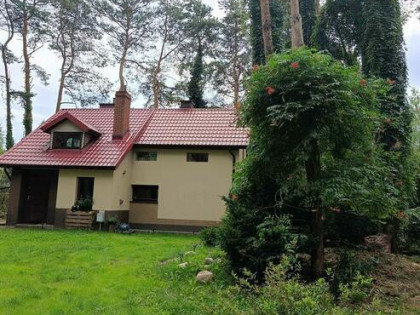 Wynajmę dom w lesie – Dębniak, gm. Zgierz – 100 m²