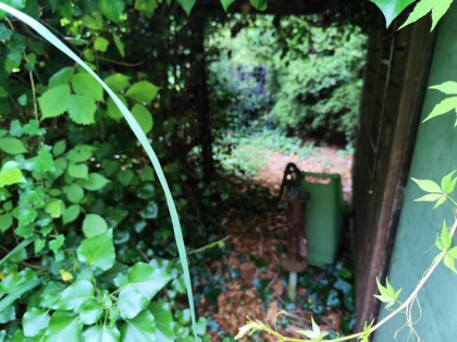 Działka kozanów Wrocław 380m dzierżawa