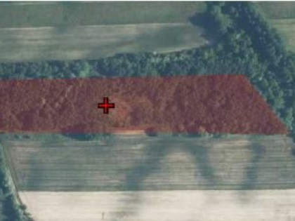 Syndyk sprzeda działkę