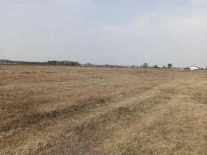 Sprzedam działkę 3000m