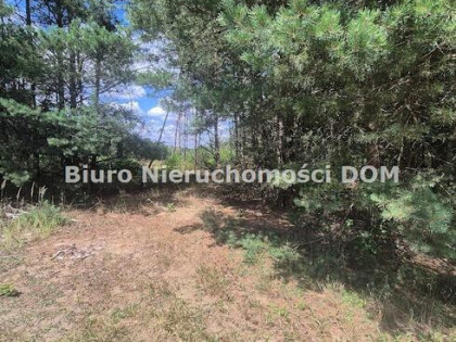 Działka Lgota gm. Kłobuck
