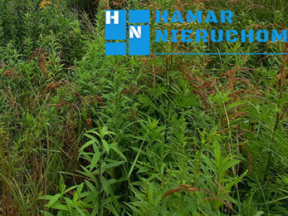 Kształtna działka o pow. 904m2 w Jaworowej