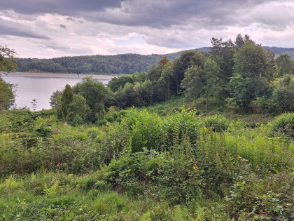 Działka nad Jeziorem Mucharskim