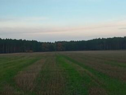 Inwestycja.Sprzedam działkę