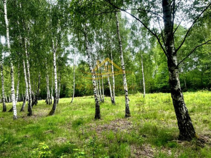 Działka siedliskowa Grodzisk Mazowiecki