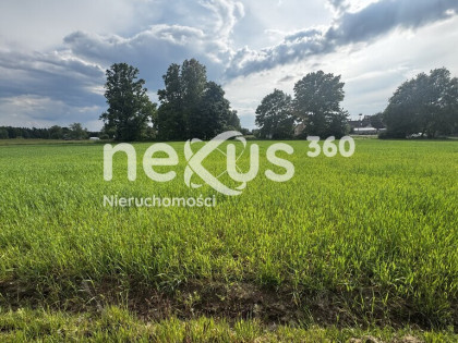 Przestrzeń i spokój - 3 hektary oazy dla Ciebie