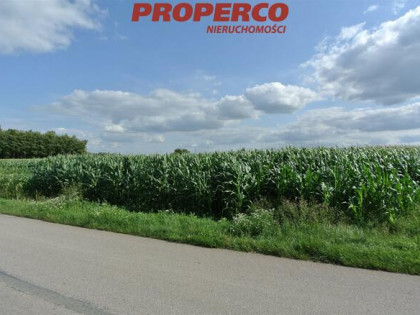 Działka Łatanice gm. Wiślica