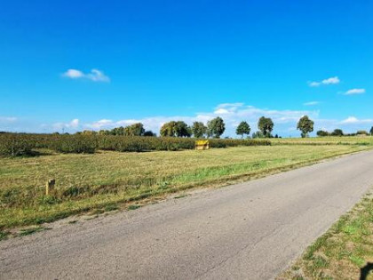 Działka budowlana, Tarło Kolonia