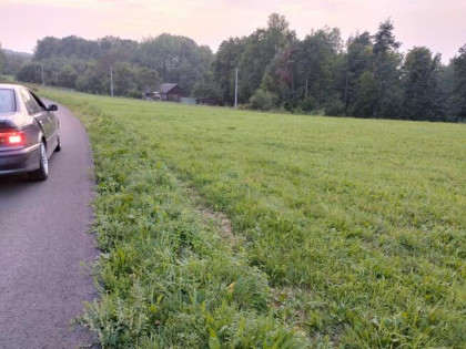 Działka zadbana 38 ar-Bączal Dolny przy drodze, gm.Skołyszyn
