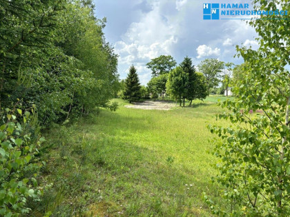 Do budowy bliźniaka blisko Puszczy Kampinoskiej !