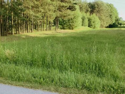 Działka Rolno-Siedliskowa