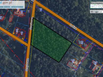 Siedlce, ul. Grzybowa