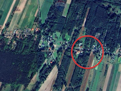 Ponad 3 ha działek z MPZP Grabostów, asfalt, media