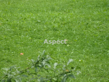 Działka Rybnik Kamień pod Rzędówką