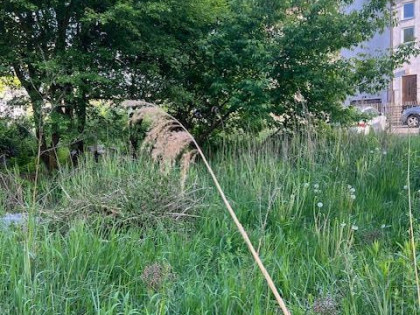 Działka budowlana Warszawa Wesoła, Stara Miłosna