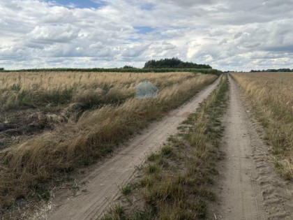 Działka przemysłowa Łubowo Rzegnowo, Rzegnowo