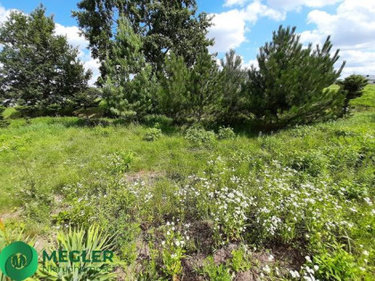 Działka przylegająca do lasu