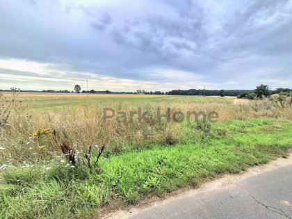 Działka budowlana Droglowice gm. Pęcław,