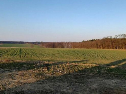 Działki budowlane od 990m2-1121m2, Kamień