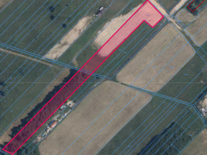 Działka 6000 m² – Żabokliki