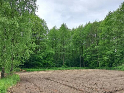 Działka budowlana Pęclin gm. Wiązowna