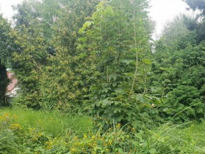 Swoszowice, ul. Moczydło działka usługowa 10,25 ar.