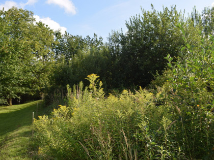 Działka rolna 27a - Hermanowa