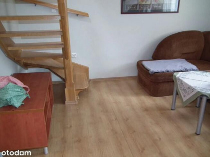 Jordanowska Prądnik Biały m. postojowe w cenie