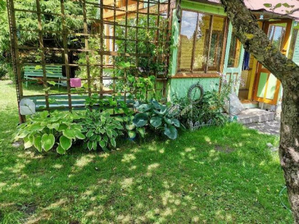 Działka ROD z domkiem