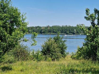 Dom Konin, Łężyńska