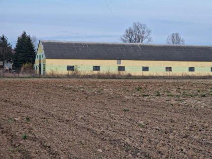 Lokal użytkowy Strzygi gm. Chodecz, Chodecka