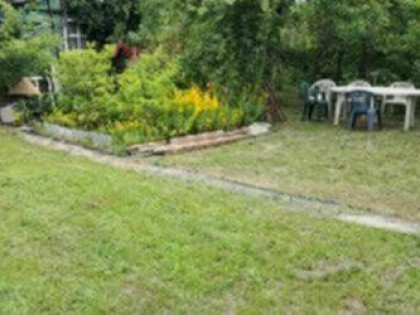 Ogródek działkowy ROD