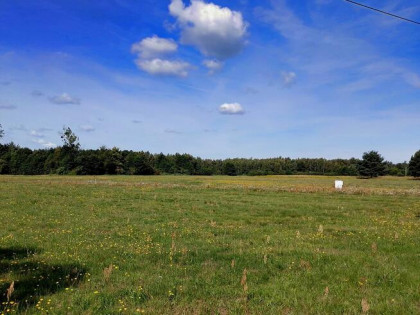 Działki budowlane z warunkami zabudowy - Jesionka