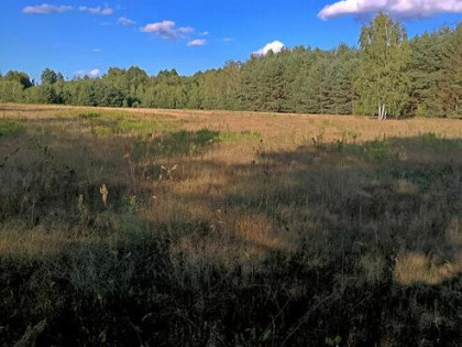 Działki z warunkami zabudowy - 1200 m2, Franciszków