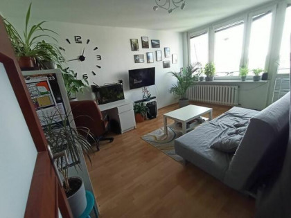 Mieszkanie 3 pokoje Bielany wynajem