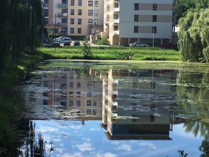Wynajmę mieszkanie Centrum Miasta Tomaszow Maz Europa22