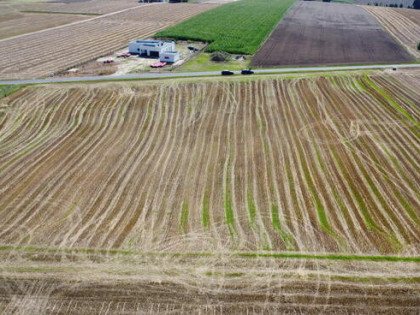 Oferta sprzedaży działki – Dziedzice, gmina Lądek (obręb 302