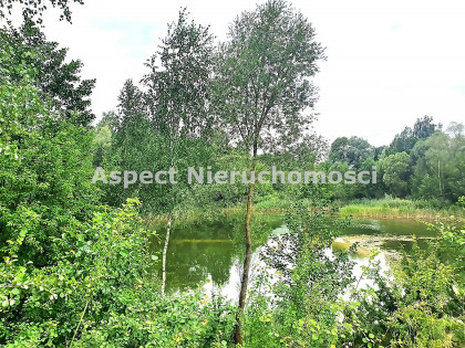 Działka MOŃKI Hornostaje